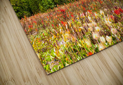 Canadian Rocky Mountain Indian Paintbrush Norma Brandsberg Photography puzzle