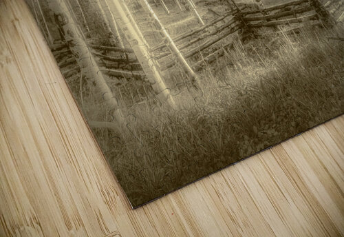 Artistic Colorado Aspens in Sepia Monotone Norma Brandsberg Photography puzzle