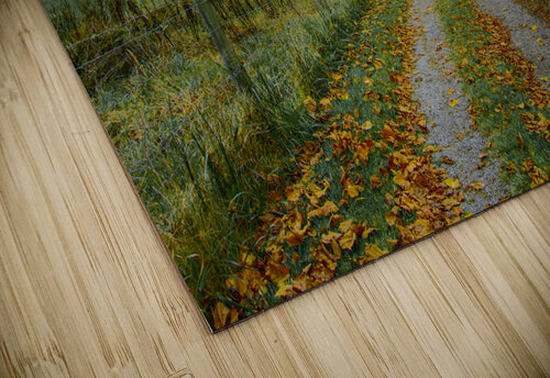 Hot Springs Virginia Farm Cabin Norma Brandsberg Photography puzzle