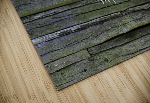 Into the Woods Muir Quote Norma Brandsberg Photography puzzle