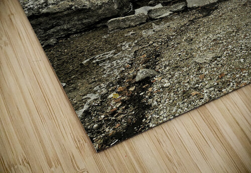 Teton Mountains The  Longing  Norma Brandsberg Photography puzzle