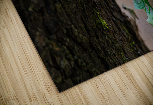 Annual Cicada Molting Norma Brandsberg Photography puzzle