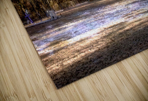 Story of an Old Francis Marion National Forest Church Norma Brandsberg Photography puzzle