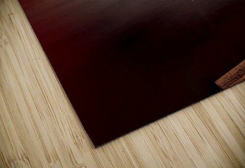 Sunrise Light and Shadows Norma Brandsberg Photography puzzle