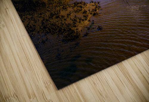 South Carolina  Marsh Heron Sunrise Norma Brandsberg Photography puzzle