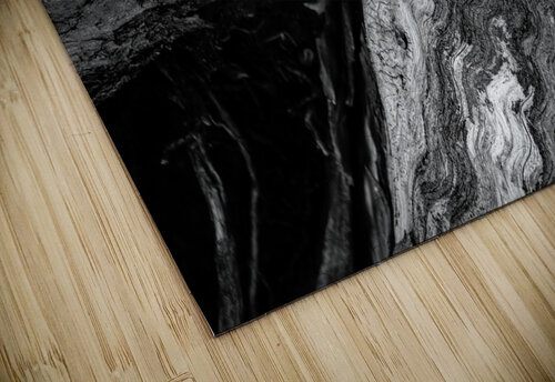 Abstract  Bald Cypress Tree Root Patterns in Black and White Norma Brandsberg Photography puzzle