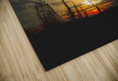 Road Trip to Charleston Sunset Norma Brandsberg Photography puzzle