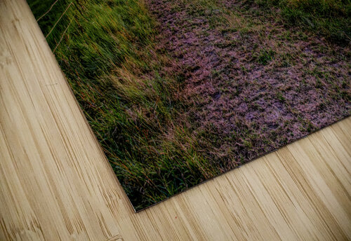 Mont Saint Michel Farm Field at Sunset Norma Brandsberg Photography puzzle