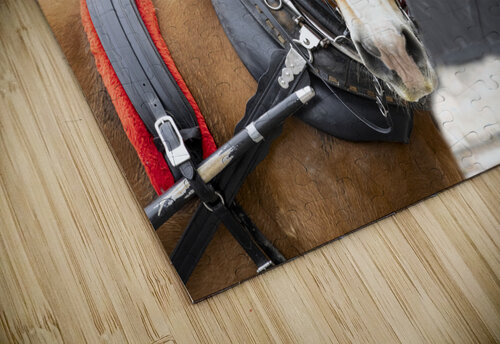Charleston Rainbow Row Carriage and  Horse  Norma Brandsberg Photography puzzle