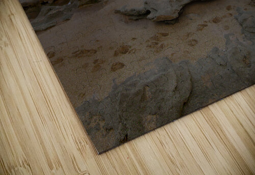 Palm Coast Footprints in the Sand Norma Brandsberg Photography puzzle