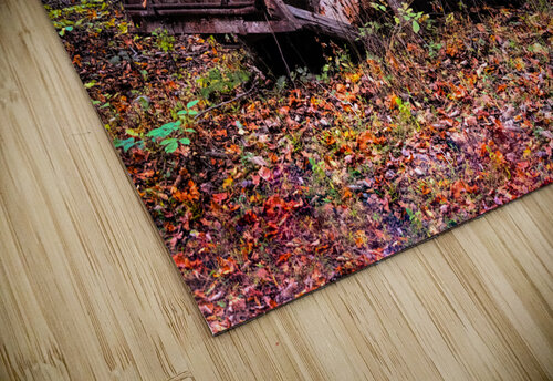 Wrong Way Home Norma Brandsberg Photography puzzle