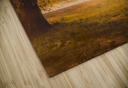 Sunrise Through the Trees Norma Brandsberg Photography puzzle