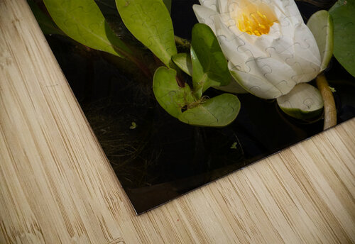 In Remembrance of Summer Norma Brandsberg Photography puzzle