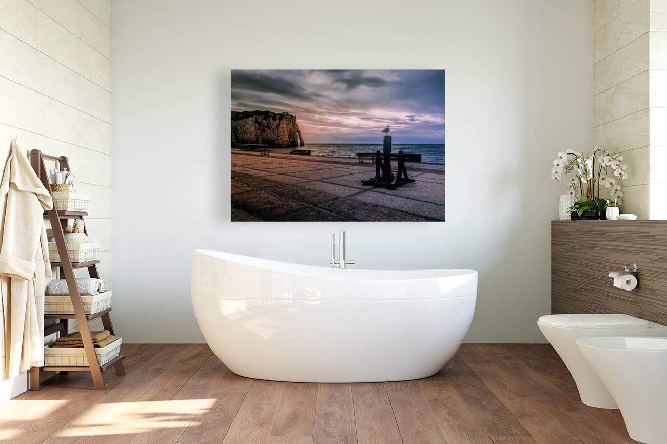 Seagull looking his Normandy Cliffs at Sunset Reproduction