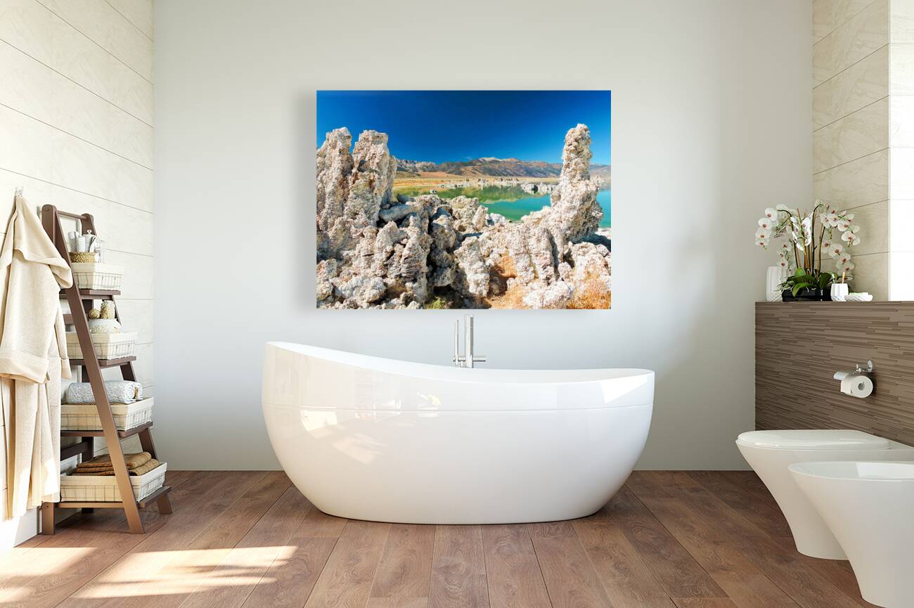 Mono Lake Tufa Salt Lake Reproduction