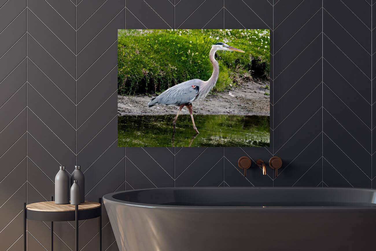 The Heron Strut Reproduction