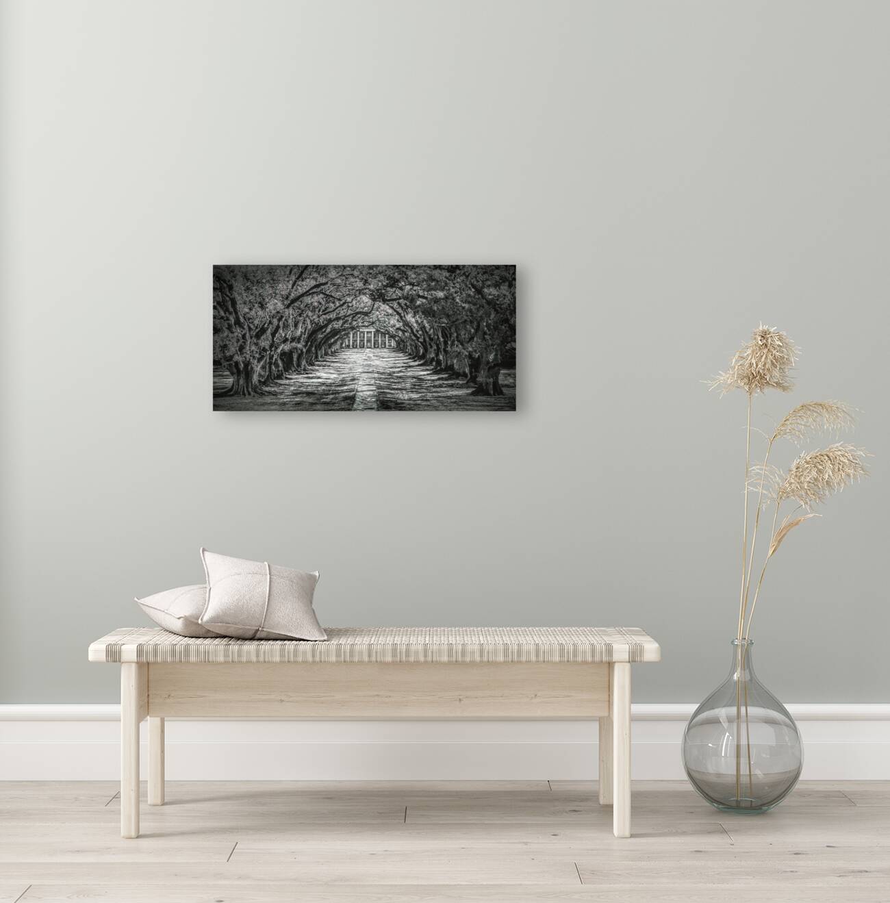 Oak Alley Canopy in Black and White Reproduction