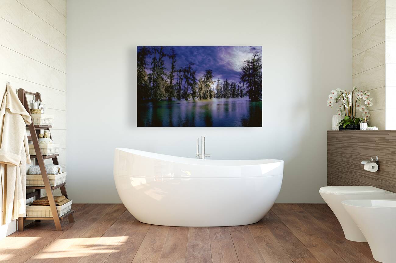 Winter Wanderings at Lake Martin Louisiana Reproduction