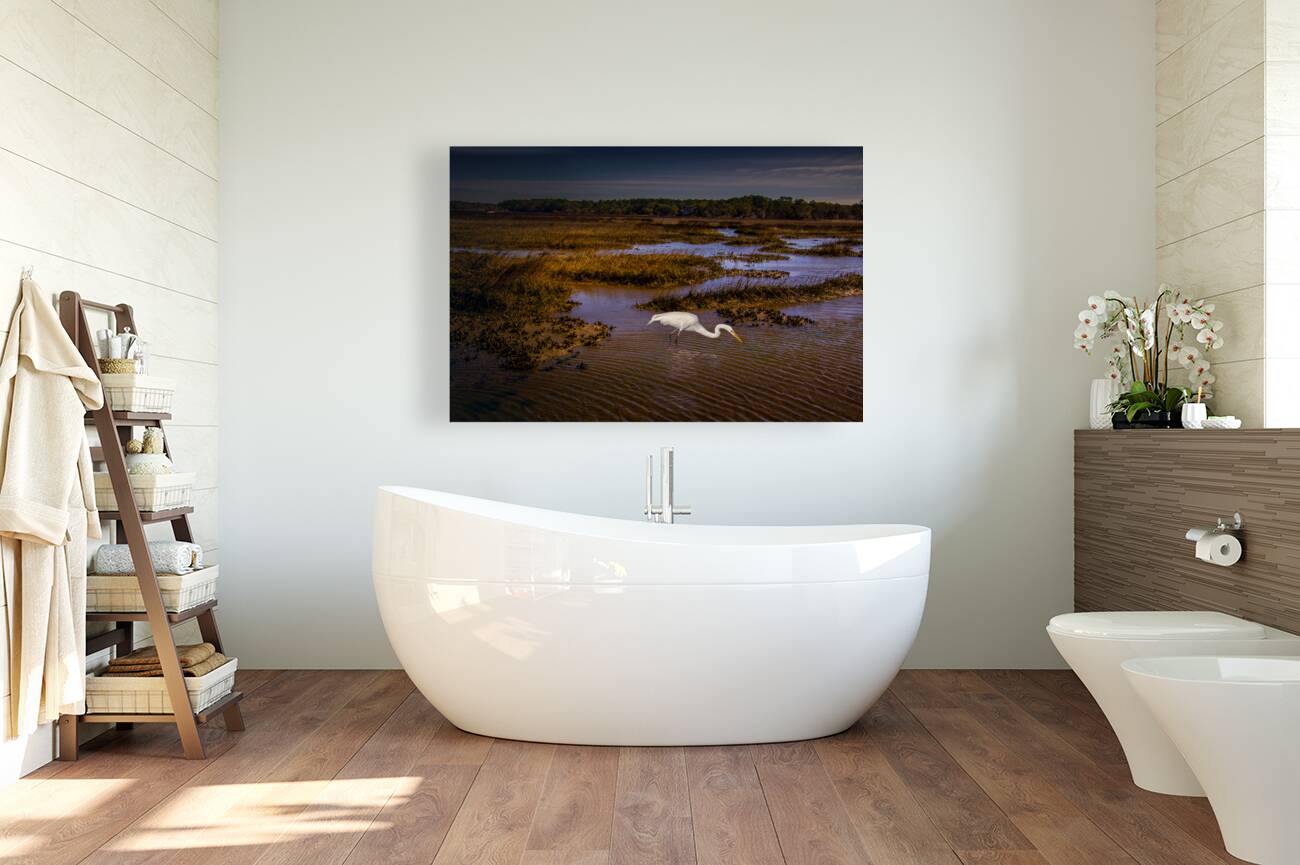 South Carolina  Marsh Heron Sunrise Reproduction