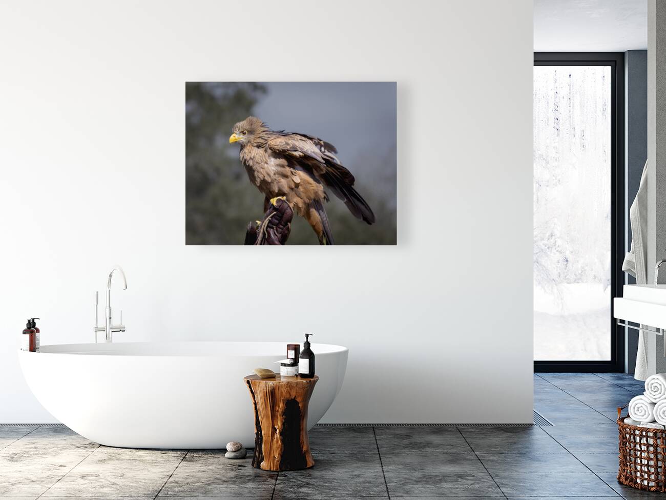 Raptor Red Tailed Hawk  Ruffled Feathers Reproduction