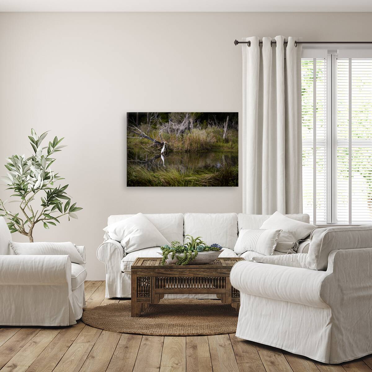 Florida Marsh Winter White Egret  Reproduction