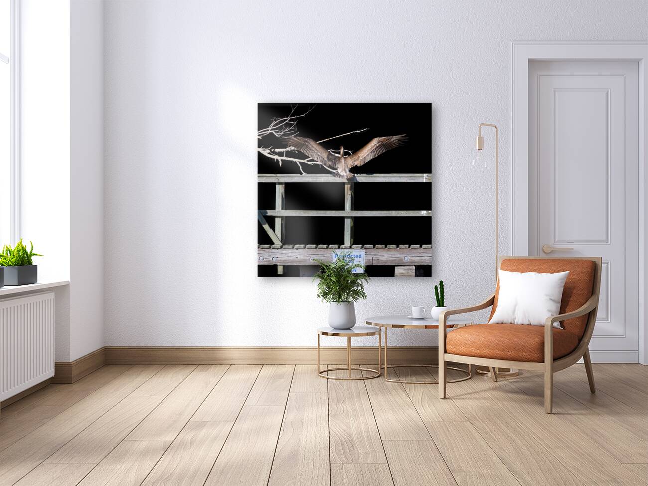 NASA Restricted Area Pelican Reproduction