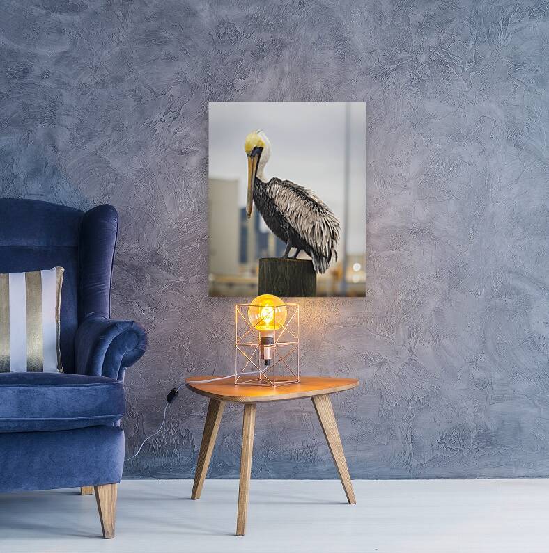 Pelican King of the Mountain Reproduction