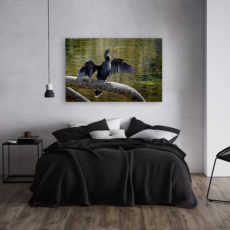 Anhinga Sunning My Wings Reproduction