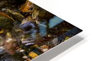 Autumn Mountain Stream HD Metal print