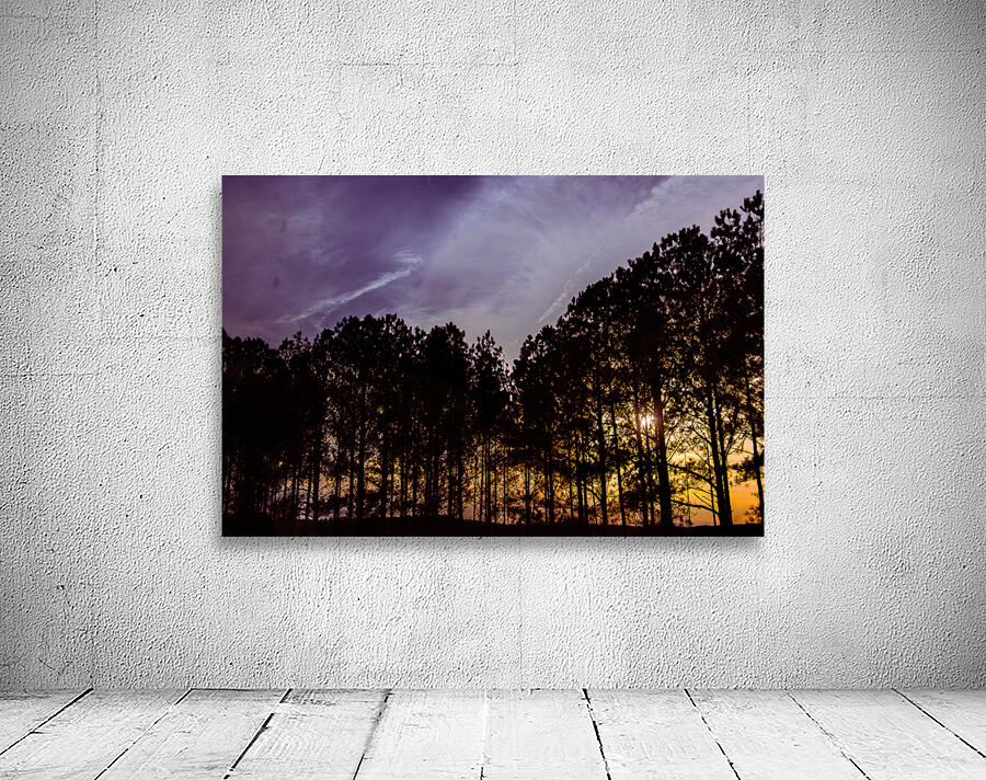 Peeking Through Trees Wall Preview