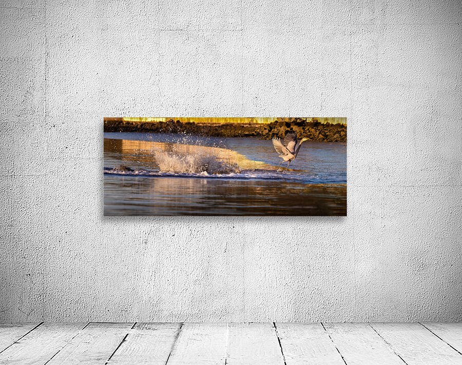 Surprise Porpoise Heron Attack Wall Preview