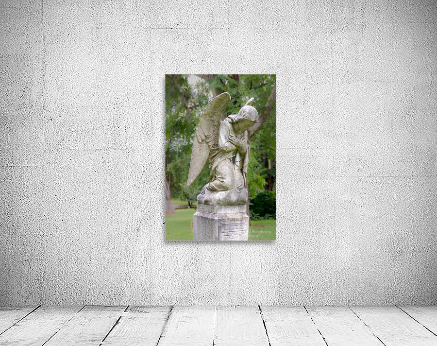 Old City Cemetery Angel Wall Preview