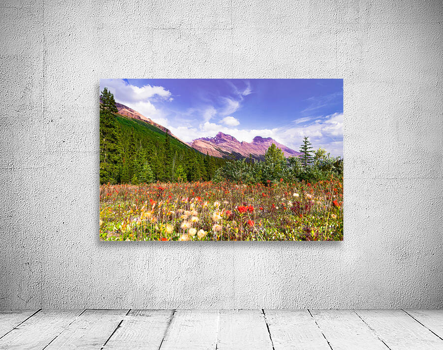 Canadian Rocky Mountain Indian Paintbrush Wall Preview