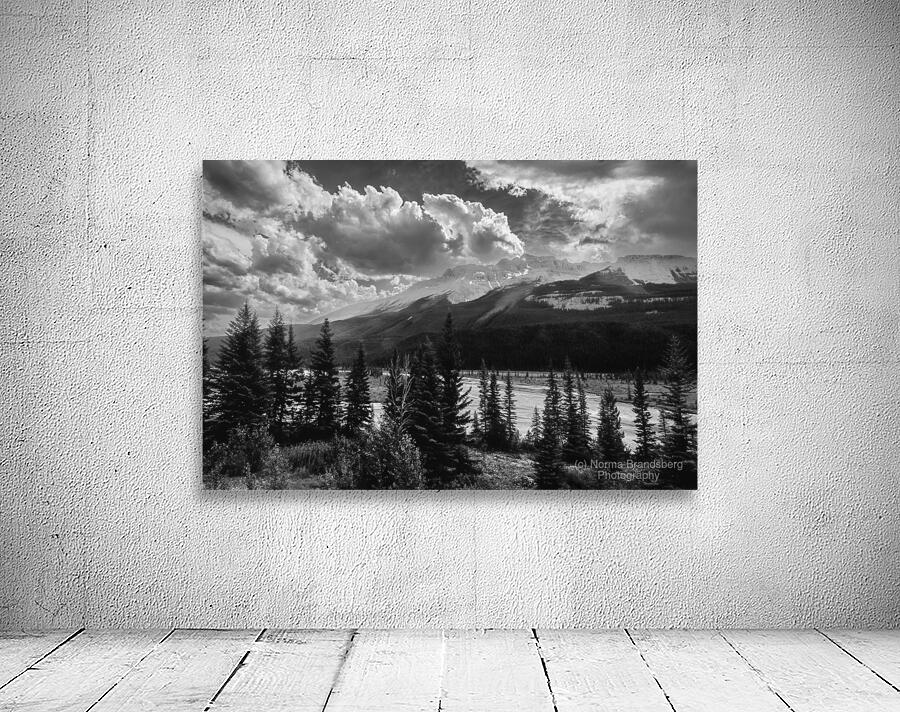Icefield Parkway Sunset in Black and White Wall Preview