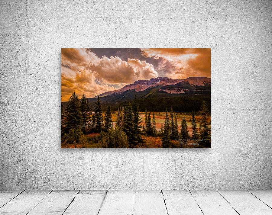 Icefield Parkway River Sunset 1 Wall Preview