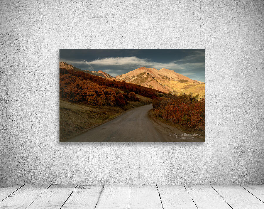 Colorado Backroads in Autumn Wall Preview