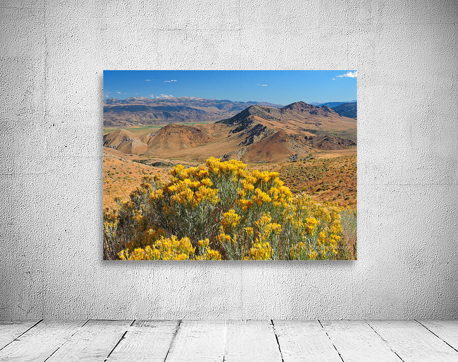 The Straw Flower Bouquet in the Tahoe Desert Wall Preview