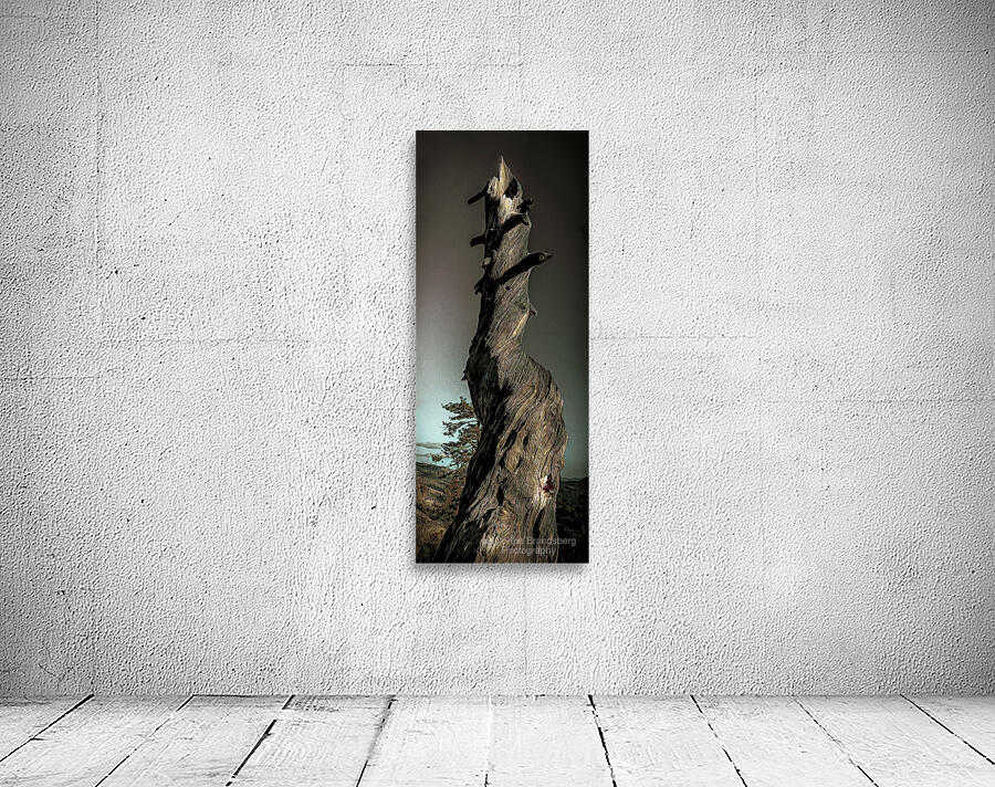 Abstract Heavenly Tree Wall Preview