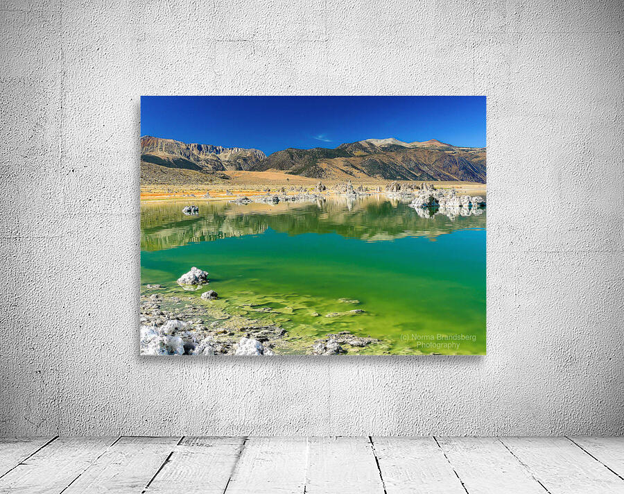 Mono Lake Tufa Statues Wall Preview