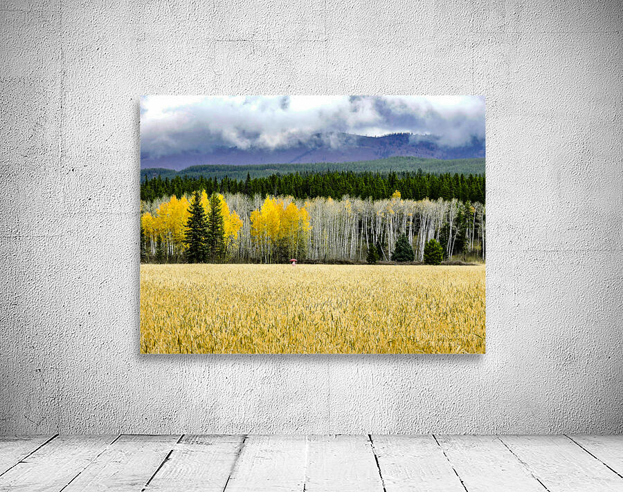 Teton Red Umbrella Wall Preview