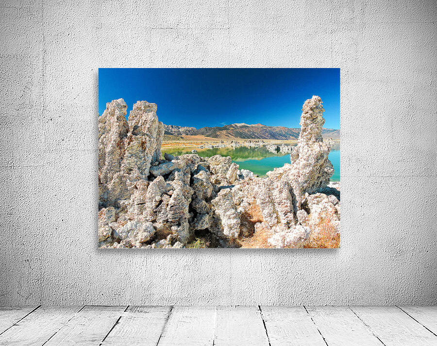 Mono Lake Tufa Salt Lake Wall Preview