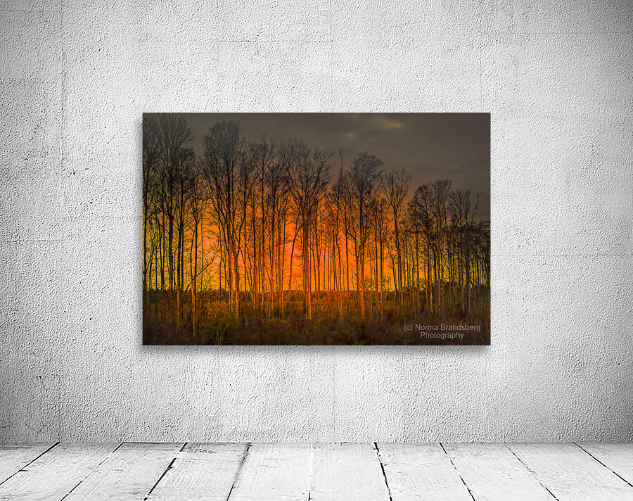 Georgia Forest Orange Sunset Silhouettes Wall Preview