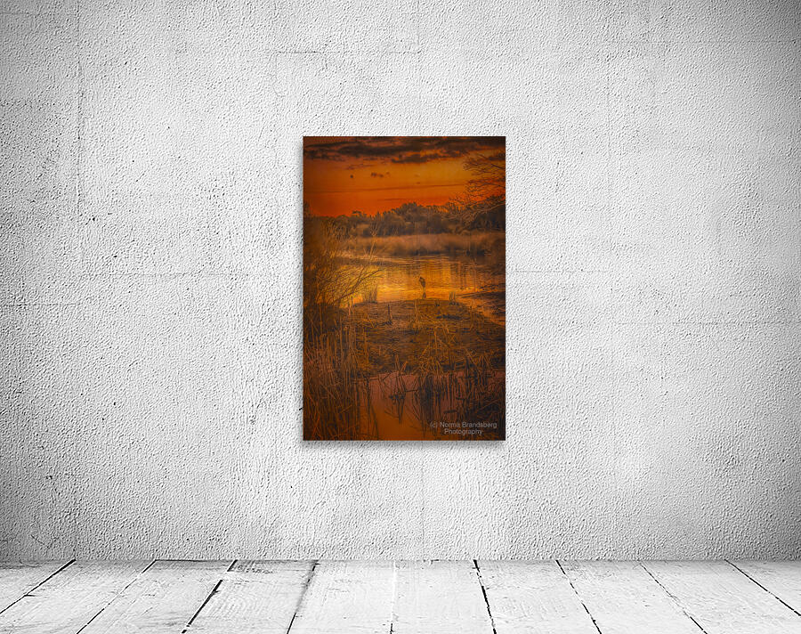South Carolina Marsh Winter Sunrise Glow Wall Preview
