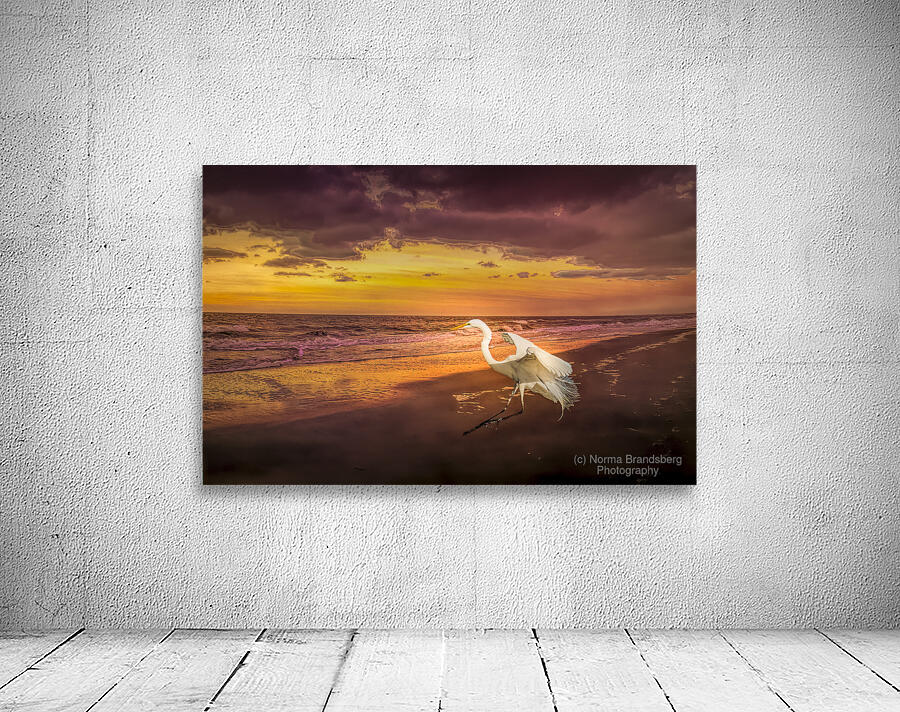 Sunrise Heron Winter Beach Landing Wall Preview
