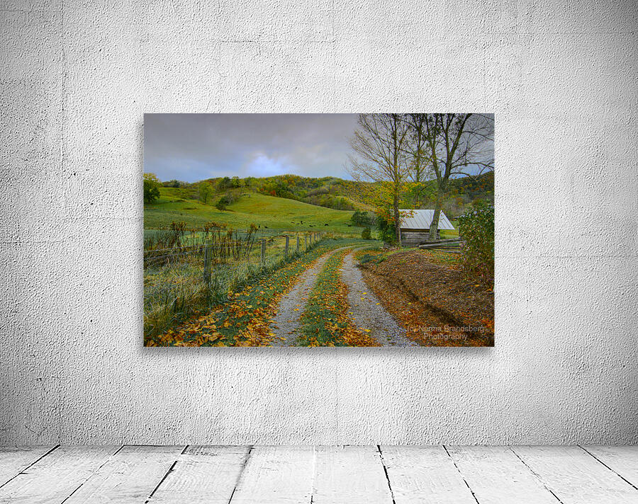 Hot Springs Virginia Farm Cabin Wall Preview