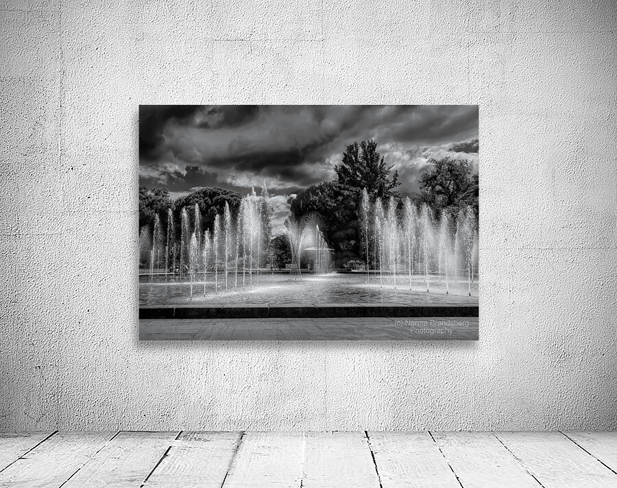 Frankfurt Botanical and Palmengarten Fountains Wall Preview