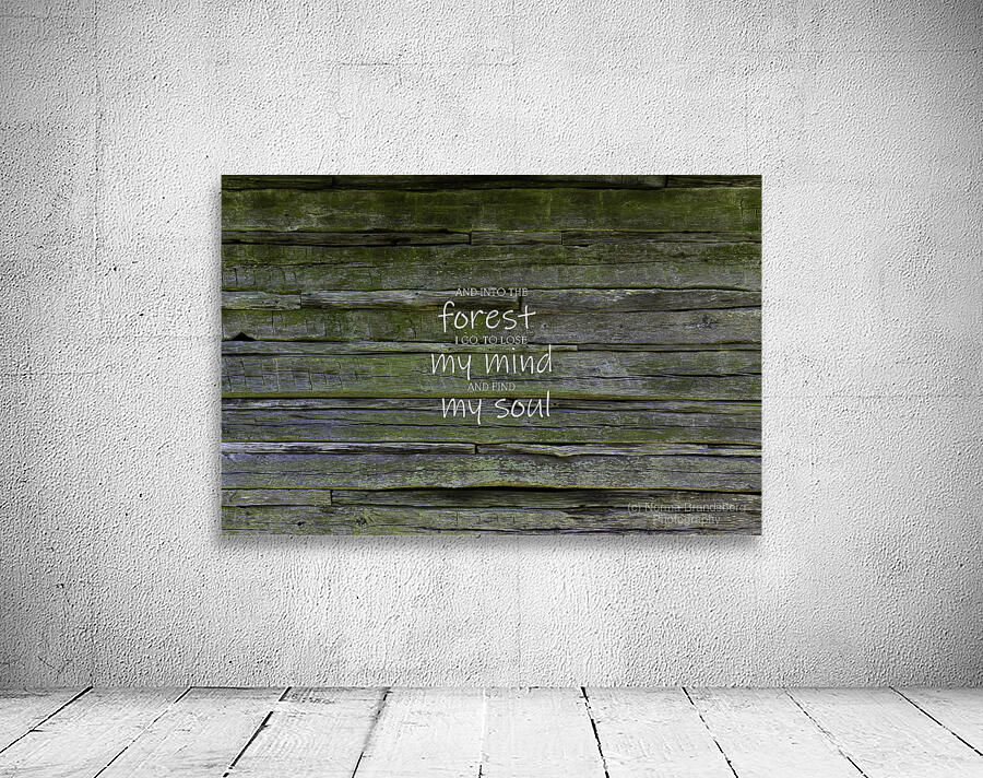 Into the Woods Muir Quote Wall Preview