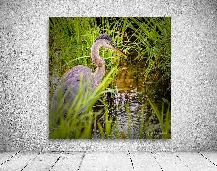 Breakfast at Peaks of Otter Wall Preview