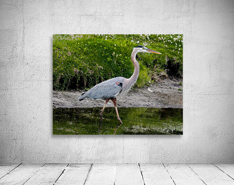 The Heron Strut Wall Preview