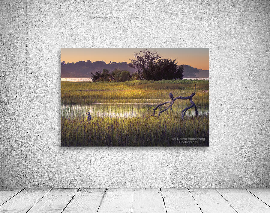Hilton Head Wetlands Marsh Wall Preview